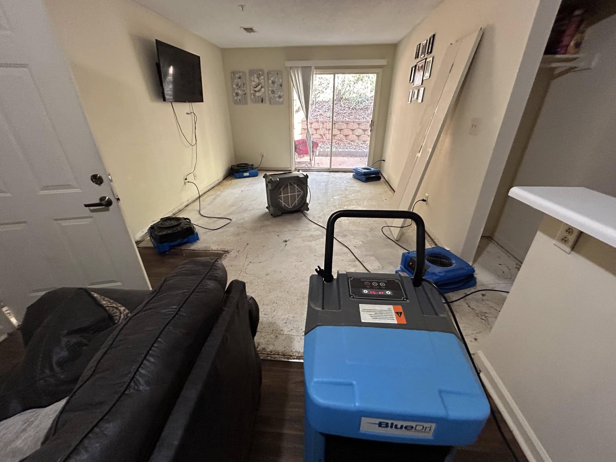 Water damage cleanup
